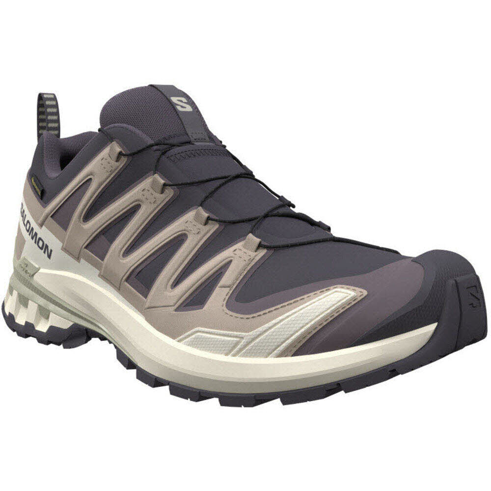 Salomon SHOES XA PRO 3D V9 GTX W 9 Iron/Oxford/A