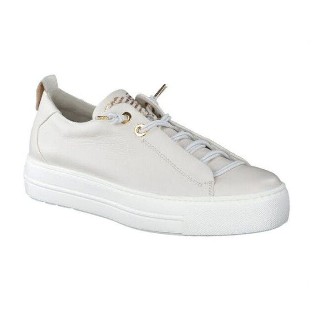 Paul Green 0079-5017-060