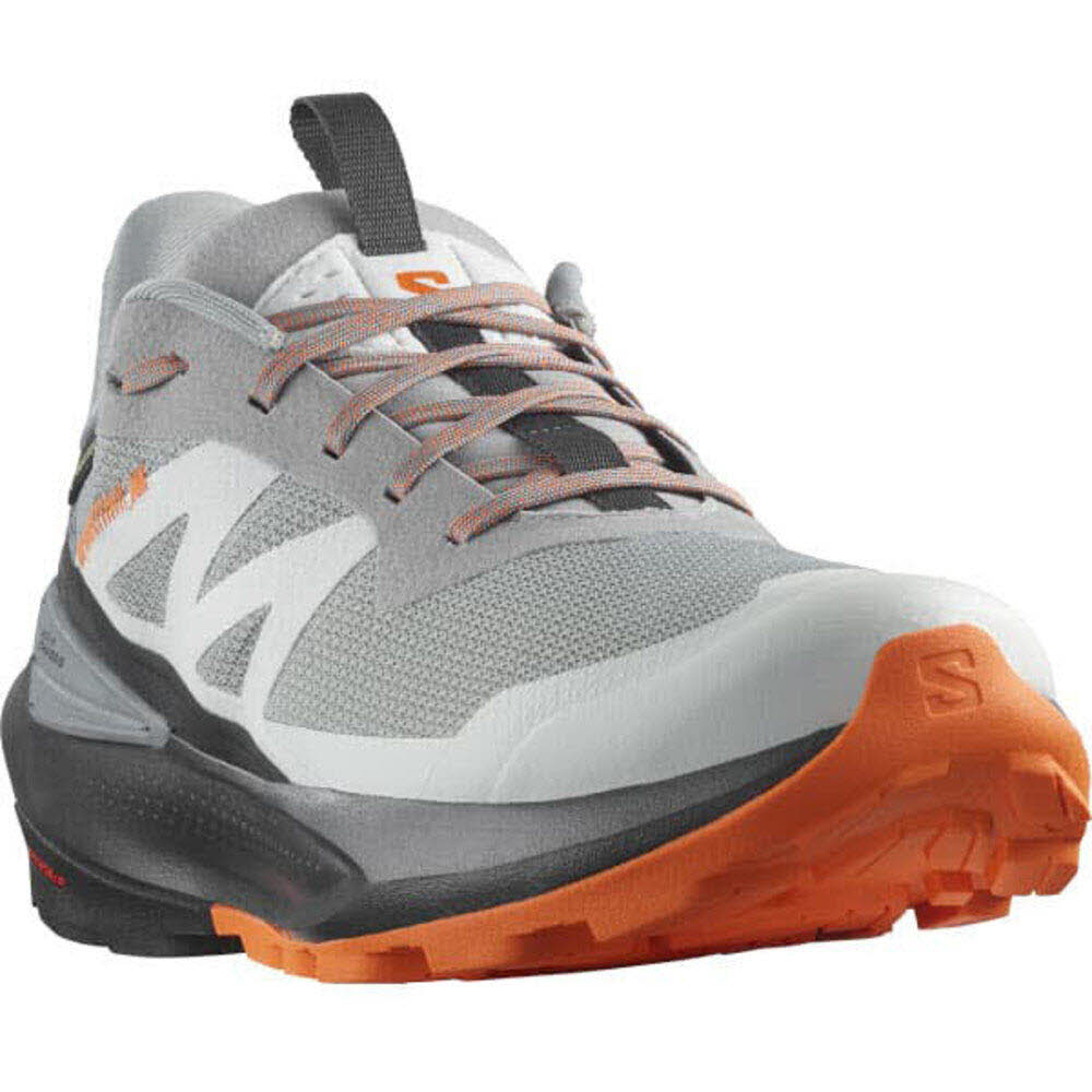 Salomon SHOES ELIXIR ACTIV GTX Shskin/Phantm/Drf