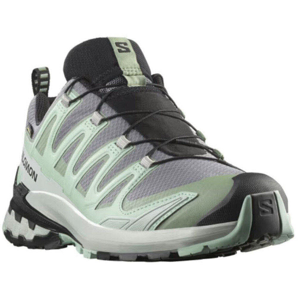 Salomon SHOES XA PRO 3D V9 GTX W QuSh/Lily/Bluha