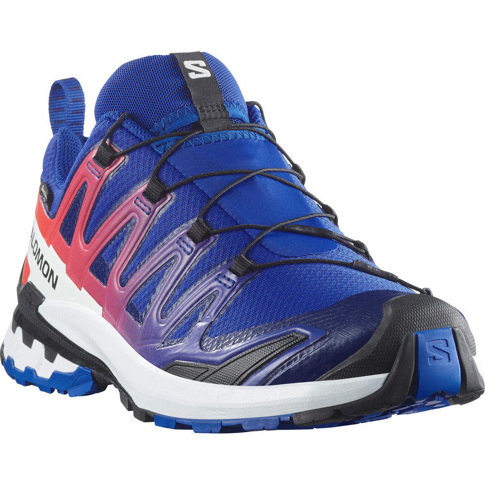 Salomon SHOES XA PRO 3D V9 GTX EQUIPE Surf W/Fir