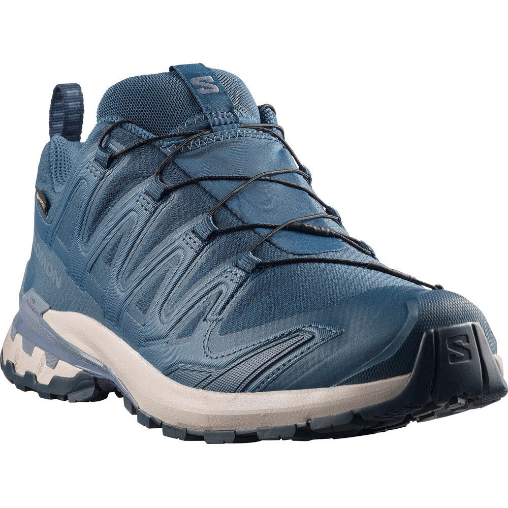 Salomon SHOES XA PRO 3D V9 GTX Spellb/Grisai/Mar