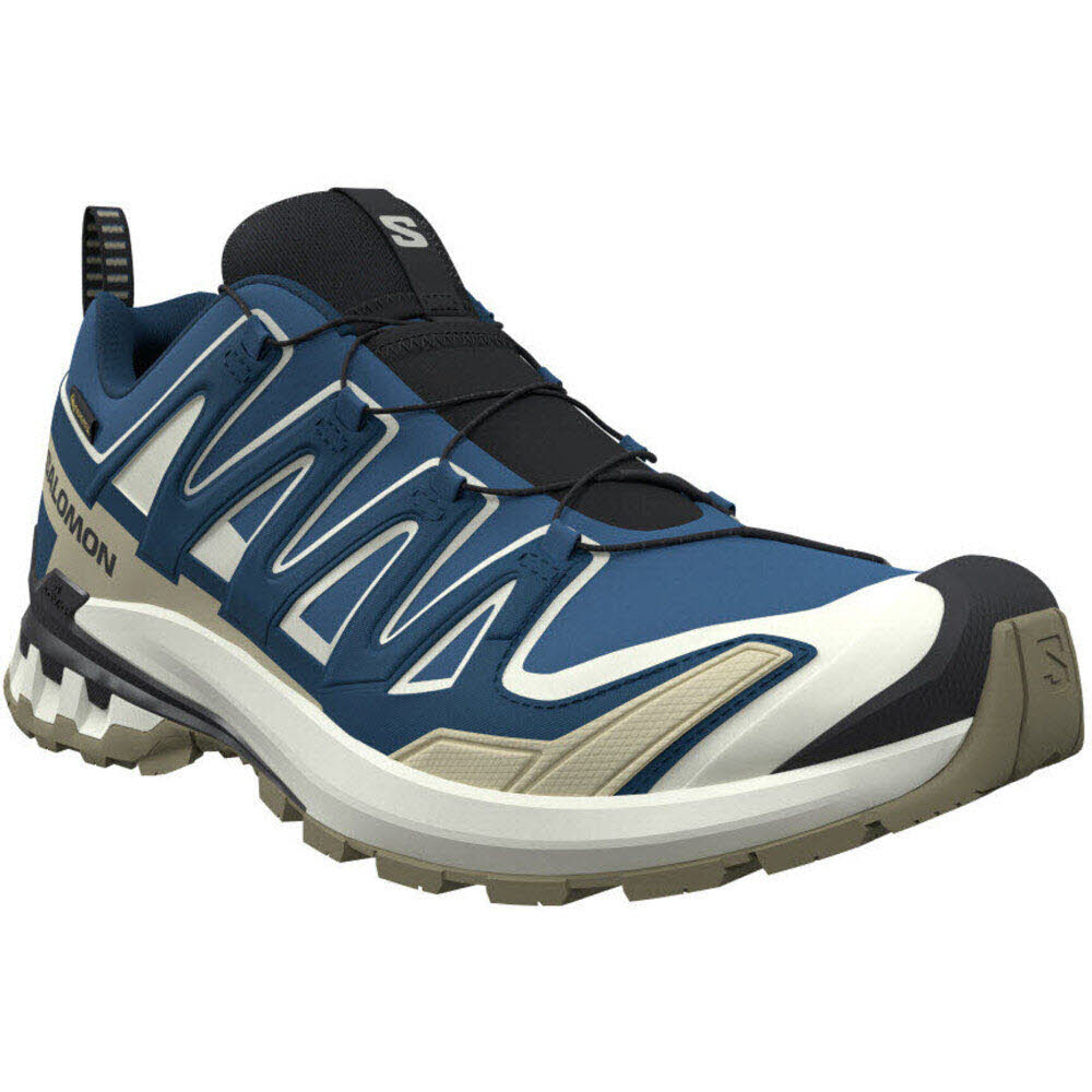 Salomon SHOES XA PRO 3D V9 GTX Dark B/Icicle/Alo