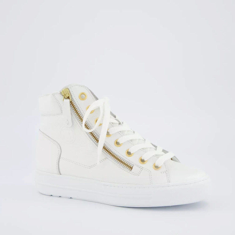 Paul Green 0079-4024-180