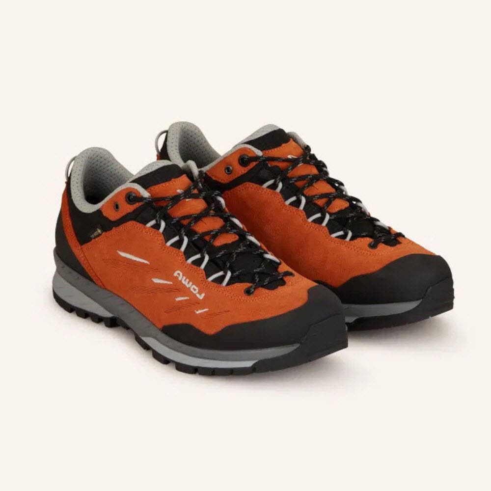 Lowa DELAGO GTX LO Bild 1