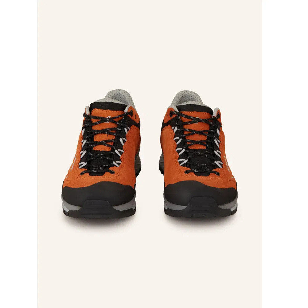 Lowa DELAGO GTX LO Bild 2